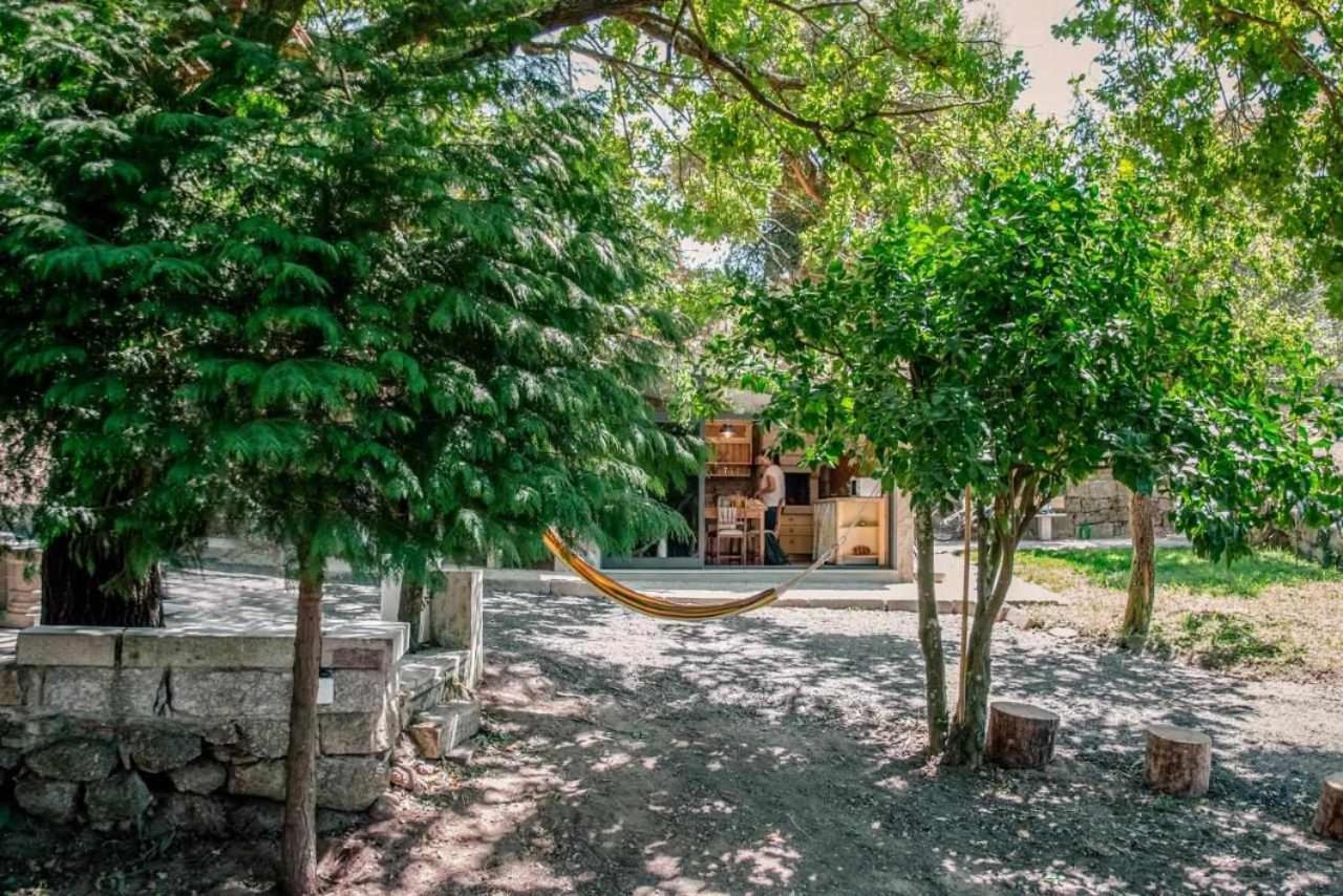 Torrão Quinta Vale De Frades 게스트하우스 외부 사진